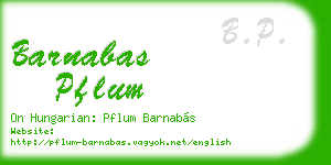 barnabas pflum business card